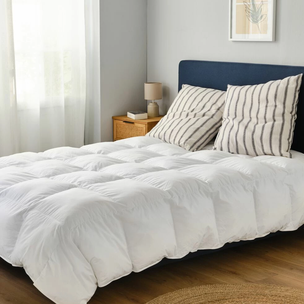 PANDORE - Couette Chaude Percale De Coton Et Fibre Siliconée - 240x220cm 5 PANDORE - Couette Chaude Percale De Coton Et Fibre Siliconée - 240x220cm – Image 3