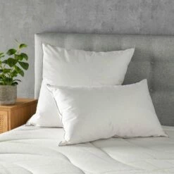 FANETTE - Oreiller Ferme En Plumettes De Canard - Blanc 65x65cm -Doublures De Lit Soldes 2024 OREILLER FANETTE 27339855 A 1