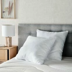 GREEN - Lot De 2 Oreillers Moelleux Anti Acarien Et Anti Bactérien - Blanc 60x60cm -Doublures De Lit Soldes 2024 OREILLER GREEN 27327920 A 1
