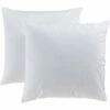 GREEN - Lot De 2 Oreillers Moelleux Anti Acarien Et Anti Bactérien - Blanc 60x60cm -Doublures De Lit Soldes 2024 OREILLER GREEN 27327920 F 1