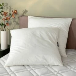 LOAN - Lot De 2 Oreillers Thermorégulateurs Fermes - 60x60cm -Doublures De Lit Soldes 2024 OREILLER LOAN 27328019 A 1