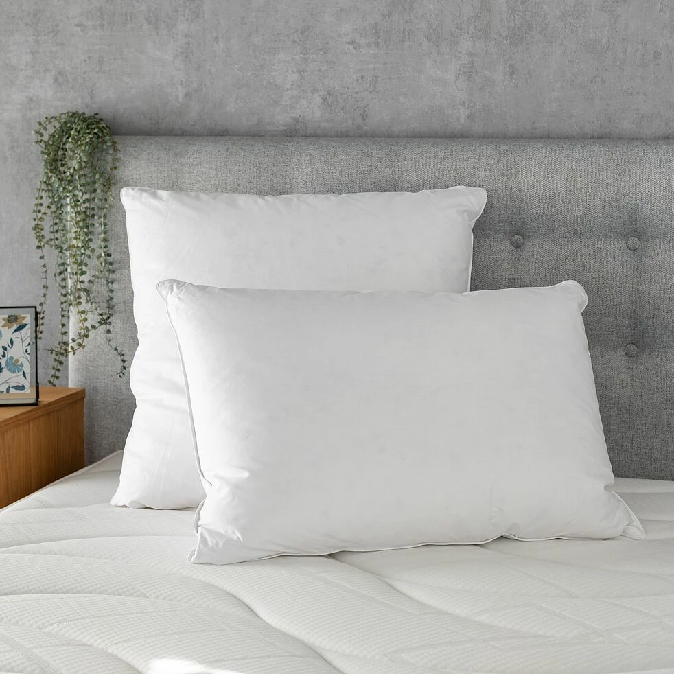 MURCIA - Oreiller Naturel En Plumettes Et Duvet De Canard - 50x70cm 3 MURCIA - Oreiller Naturel En Plumettes Et Duvet De Canard - 50x70cm