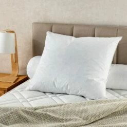 PLUMETTES - Oreiller En Plumettes - 60x60cm -Doublures De Lit Soldes 2024 OREILLER PLUMETTES 27328866 A 1