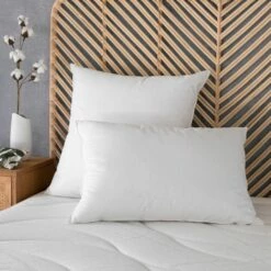 SEVILLE - Oreiller Plat Naturel En Plumes Et Duvet De Canard - 50x70cm -Doublures De Lit Soldes 2024 OREILLER SEVILLE 27322680 A 1
