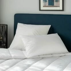 FELIX - Oreiller En Coton - Blanc 65x65cm