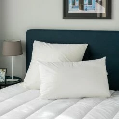 SADY - Oreiller Moelleux En Coton - 45x70cm